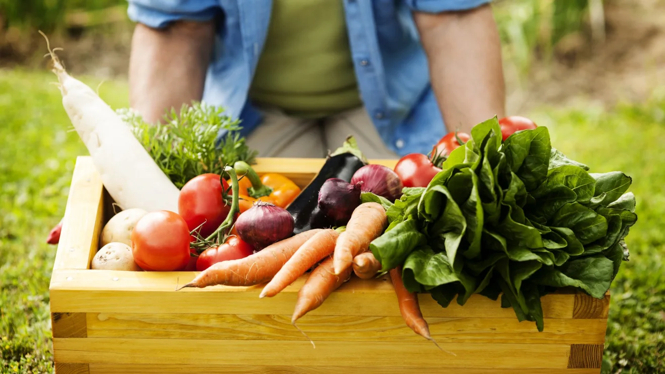 Strengthen your immunity naturally blog - Link to CNN article - Midlife Vitality