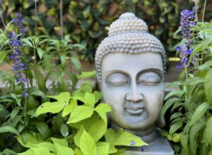 Midlife Vitality - Membership Options with Cindy Willems - Health, Wellbeing, Traditional Chinese Medicine - TCM, Pilates, Nutrition, Aging, Menopause, Hormones, Women